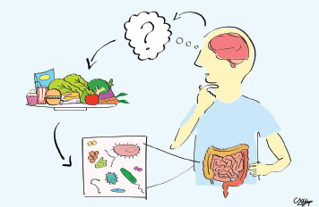 gut-bacteria.jpg